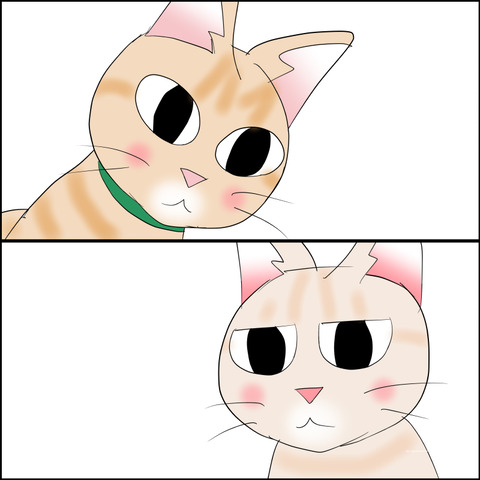 あんこ＆麦STORY2278c