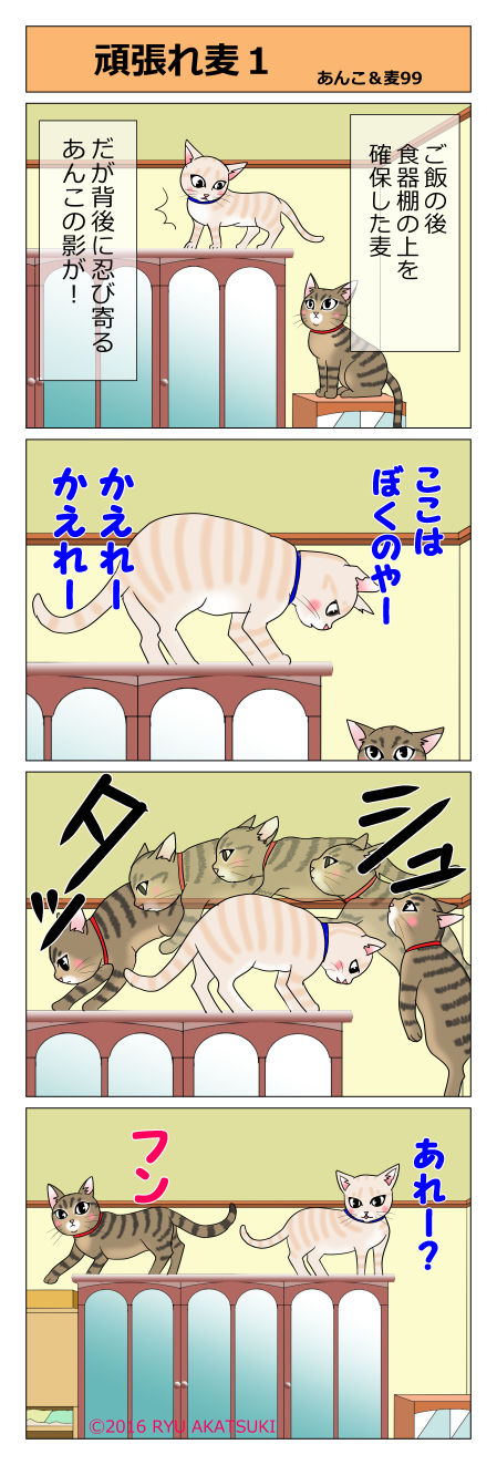 あんこ&麦STORY99