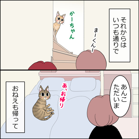 あんこ＆麦STORY2351c