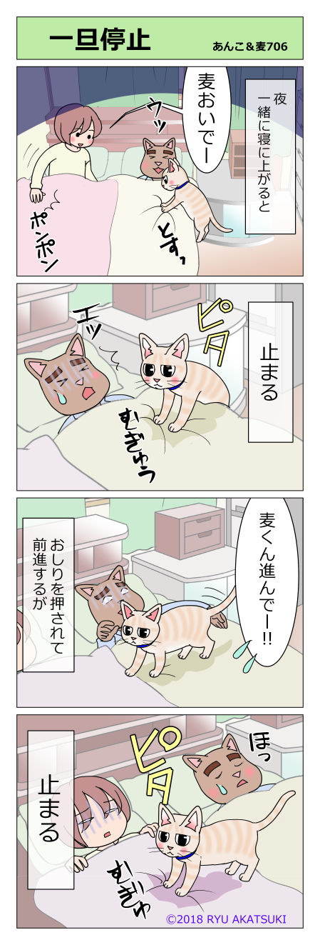 あんこ＆麦STORY706