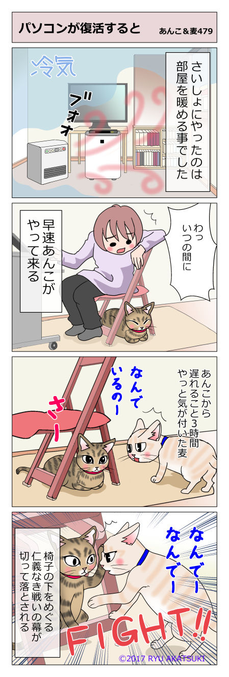 あんこ&麦STORY479