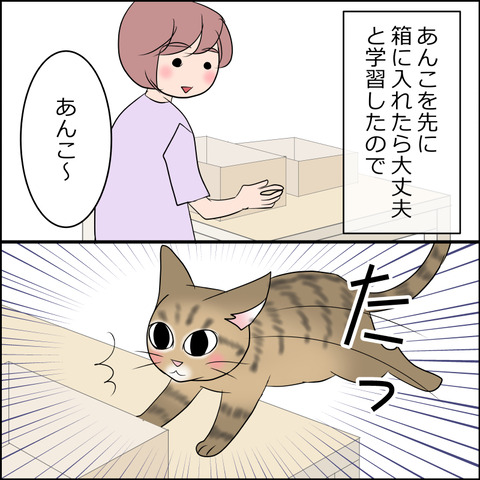 あんこ＆麦STORY2118a