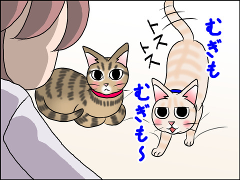 あんこ&麦STORY1563c