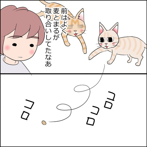あんこ&麦STORY2263b