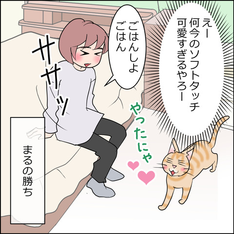 あんこ&麦STORY2372d