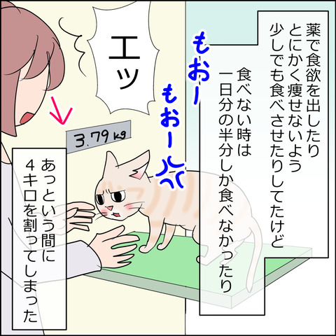 あんこ＆麦kenko135b