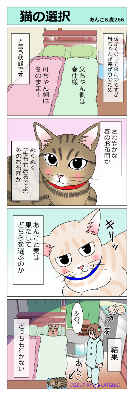 あんこ&麦STORY266