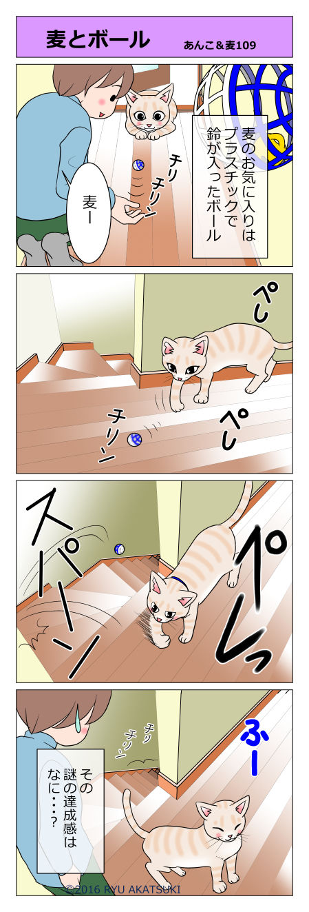 あんこ&麦STORY109