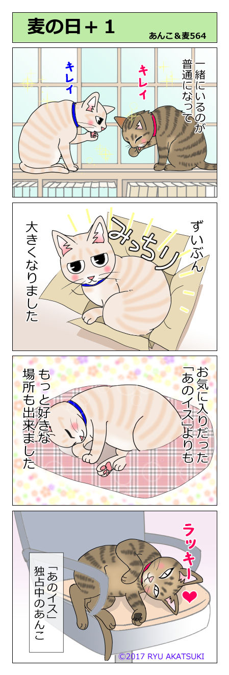 あんこ&麦STORY564