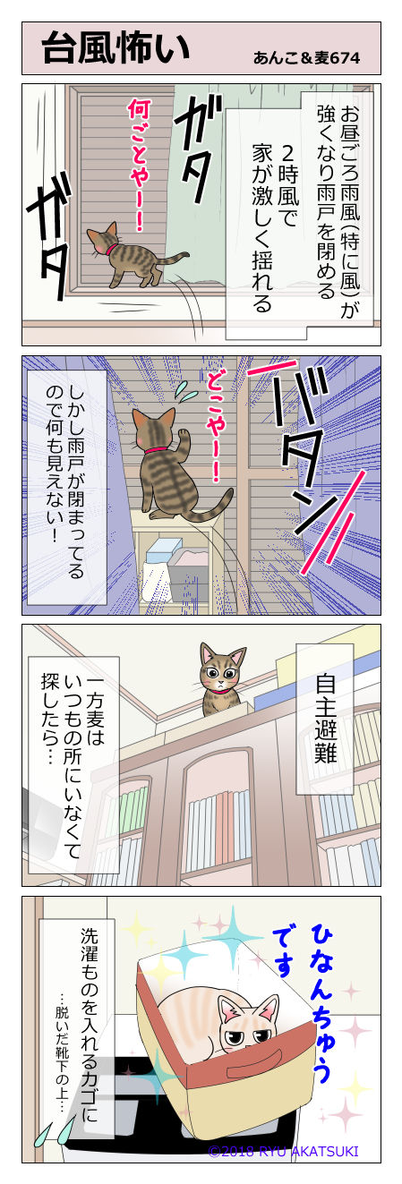 あんこ&麦STORY674