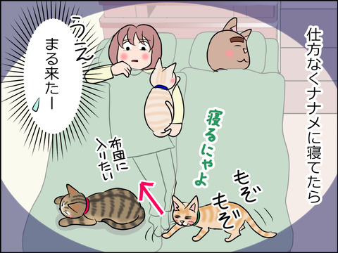 あんこ＆麦STORY1551b