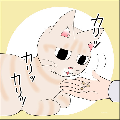 あんこ&麦STORY2233a