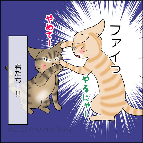 あんこ&麦STORY1759d