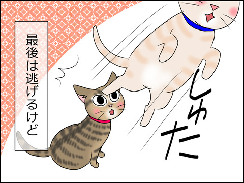 あんこ＆麦STORY1442d
