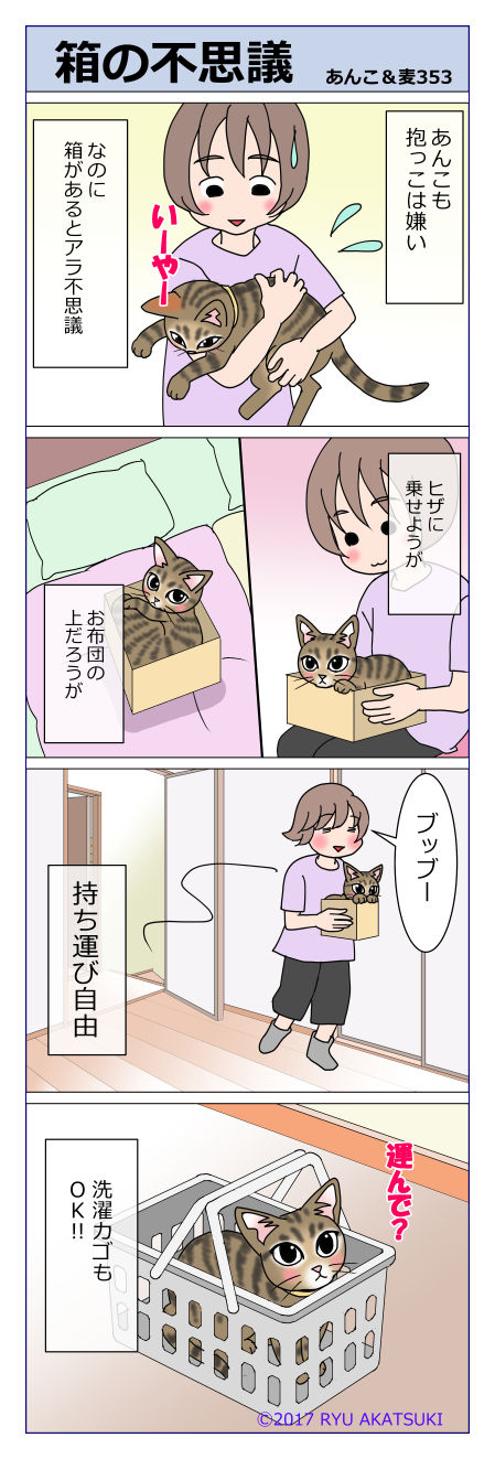 あんこ＆麦STORY353