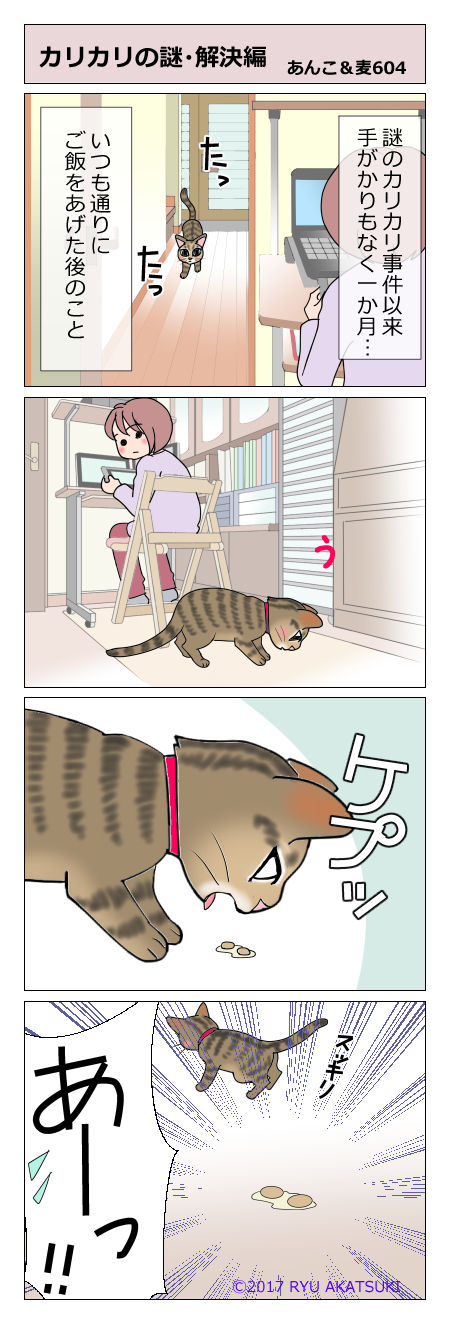 あんこ＆麦STORY604