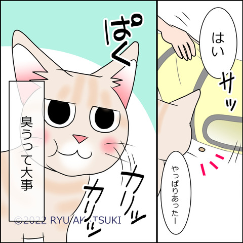 あんこ＆麦STORY1682d
