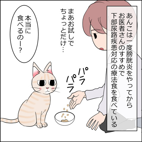 あんこ＆麦kenko106a