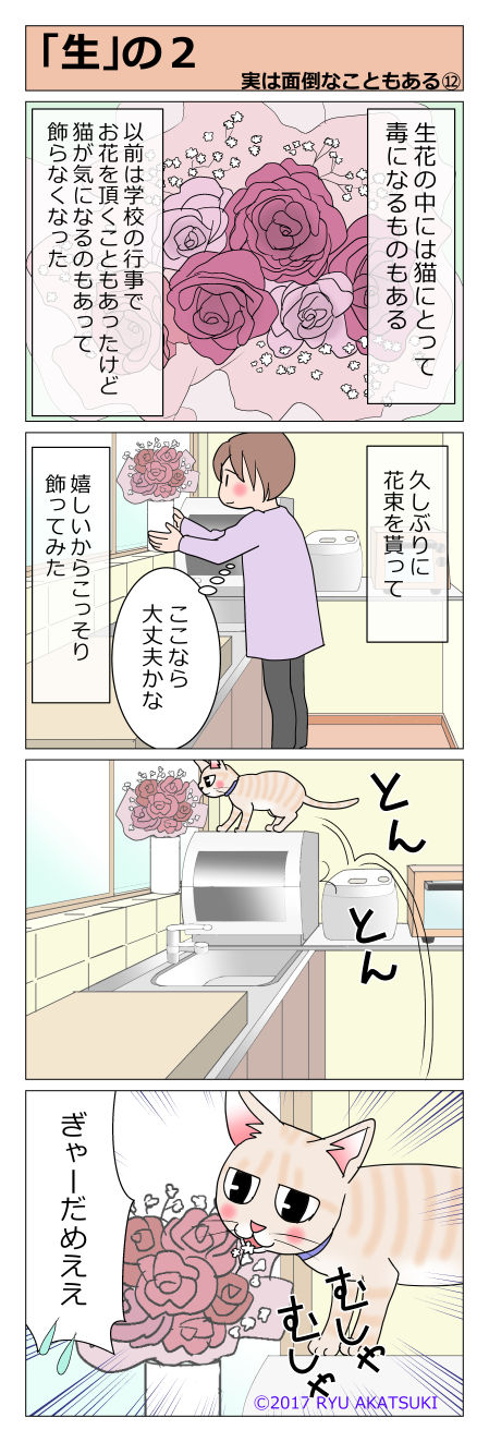 あんこ&麦mendo12