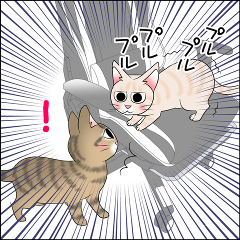 あんこ&麦STORY2119c