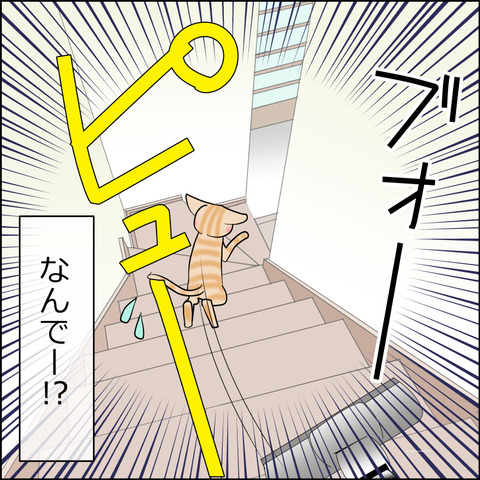 あんこ&麦STORY2374d