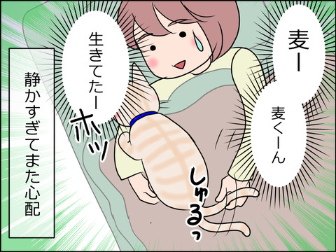 あんこ&麦STORY1542d