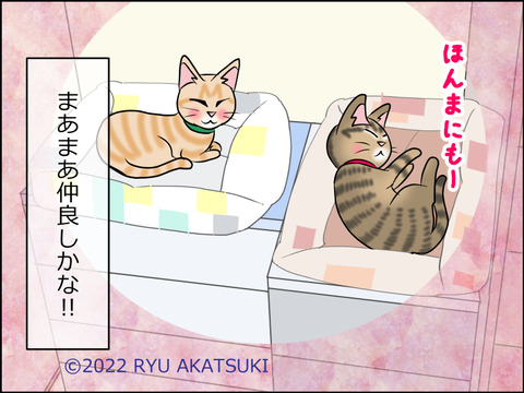 あんこ&麦STORY1530d