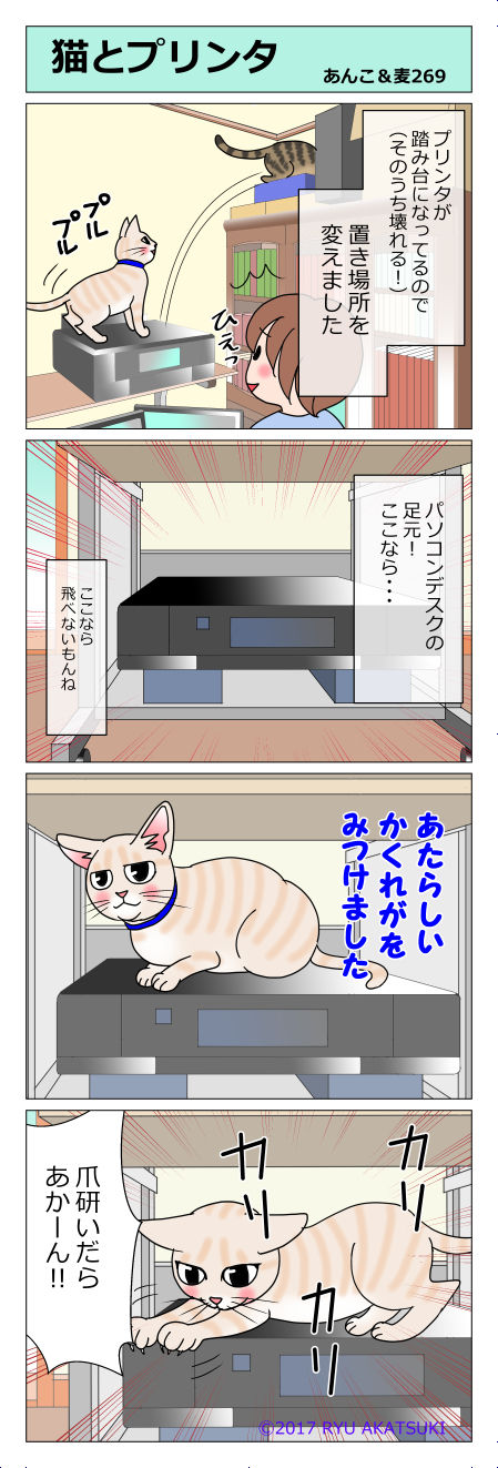 あんこ&麦STORY269