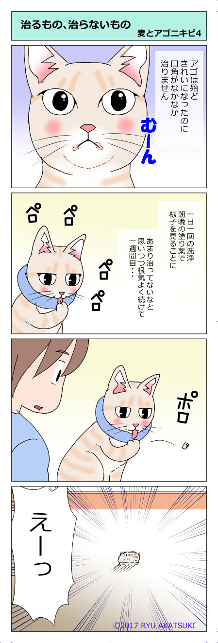 あんこ&麦kenko12