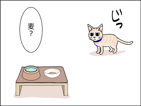 あんこ&麦kenko27b