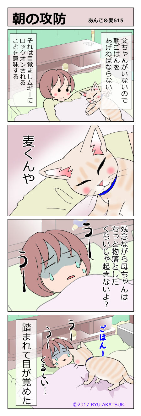あんこ&麦STORY615