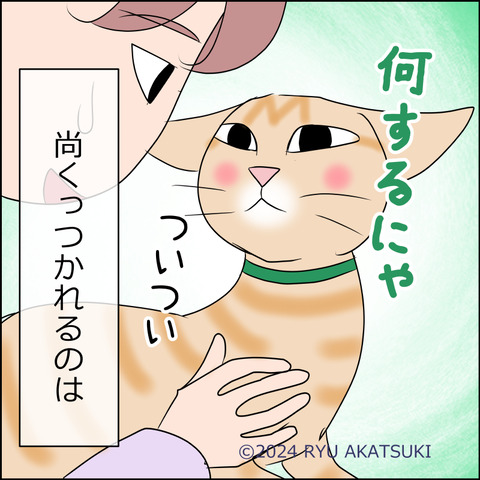 あんこ＆麦STORY2043d