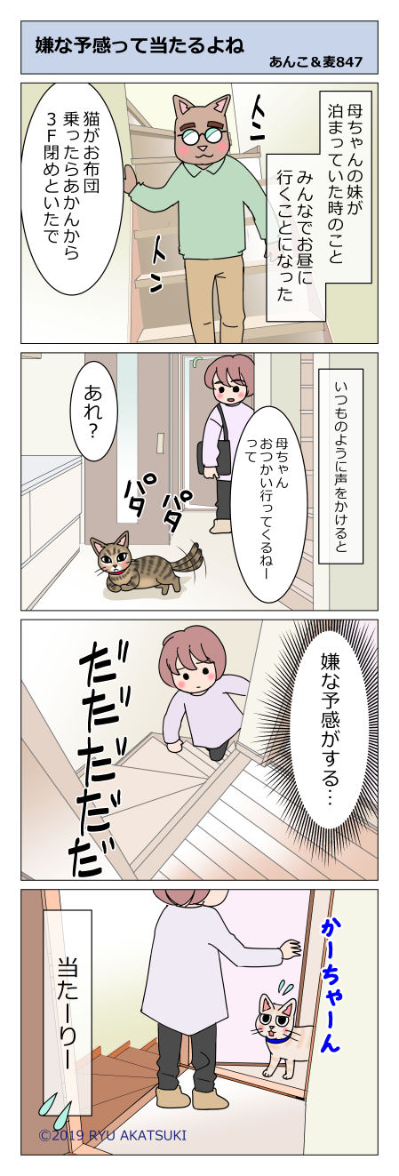 あんこ&麦STORY847