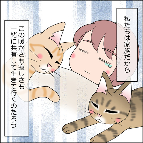 あんこ&麦STORY2497d
