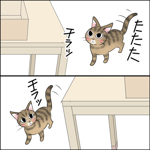 あんこ＆麦STORY2105b