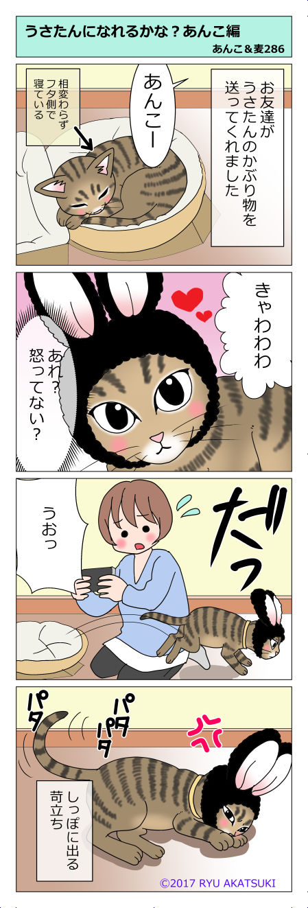 あんこ＆麦STORY286