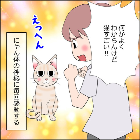 あんこ&麦kenko124d