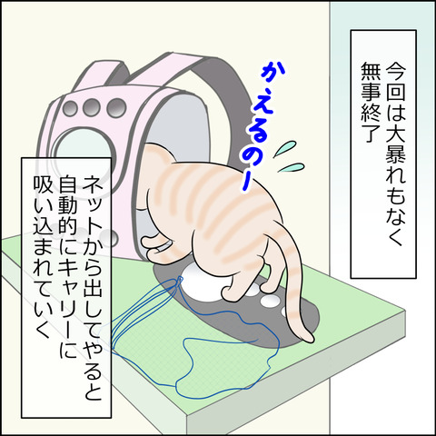 あんこ＆麦kenko81c