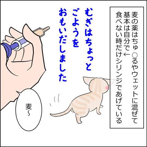 あんこ＆麦kenko117a