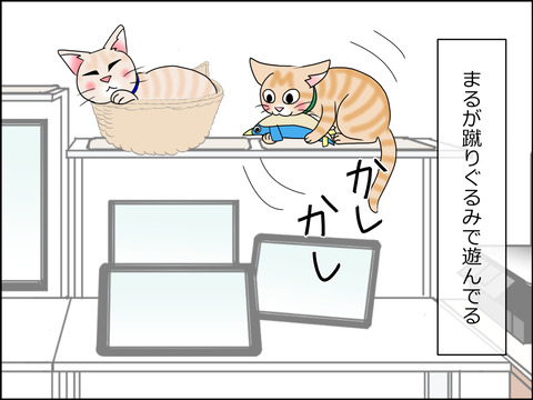 あんこ&麦STORY1430a
