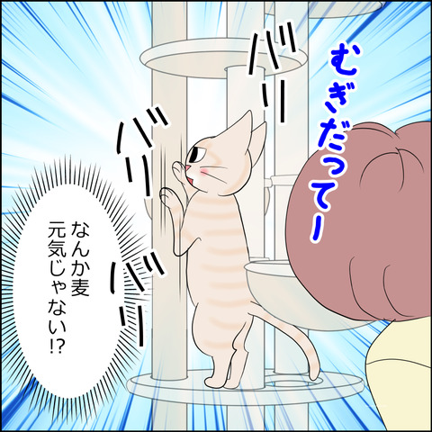 あんこ＆麦kenko127d