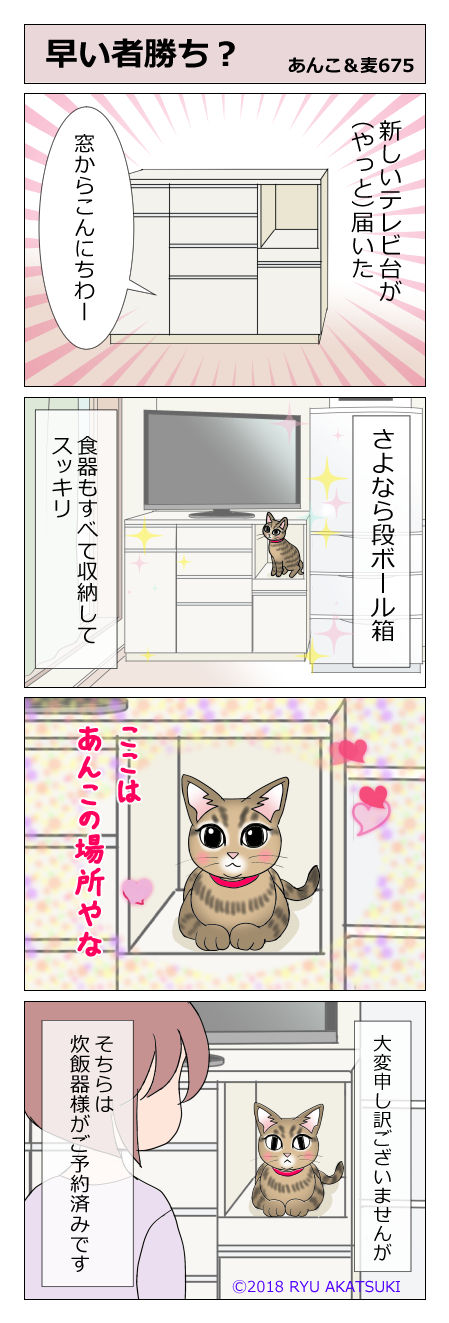 あんこ＆麦STORY675