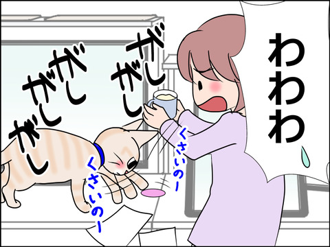 あんこ&麦STORY1490c
