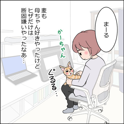 あんこ&麦STORY2441b