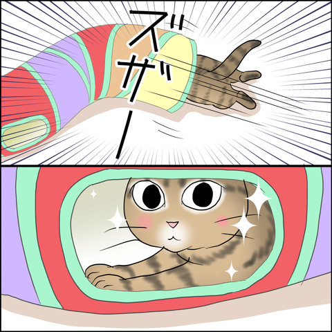 あんこ＆麦STORY2429b