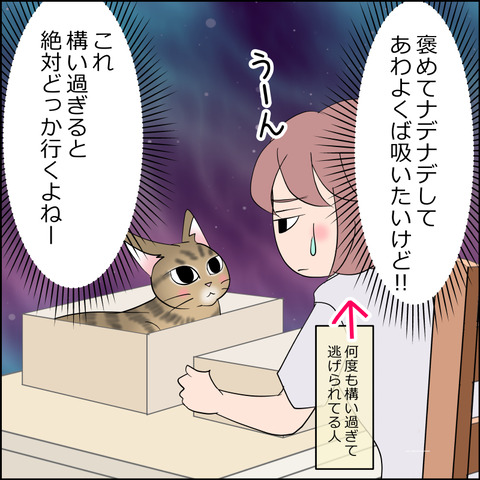 あんこ＆麦STORY2168c
