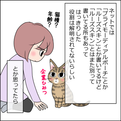 あんこ＆麦STORY2022c