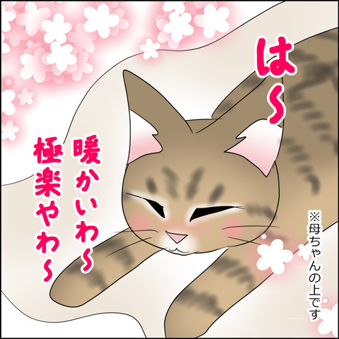 あんこ＆麦STORY2228b