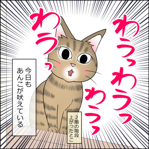 あんこ＆麦STORY2457a