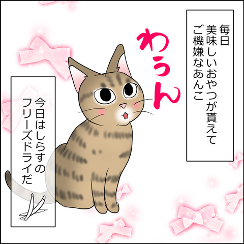 あんこ&麦STORY2473a